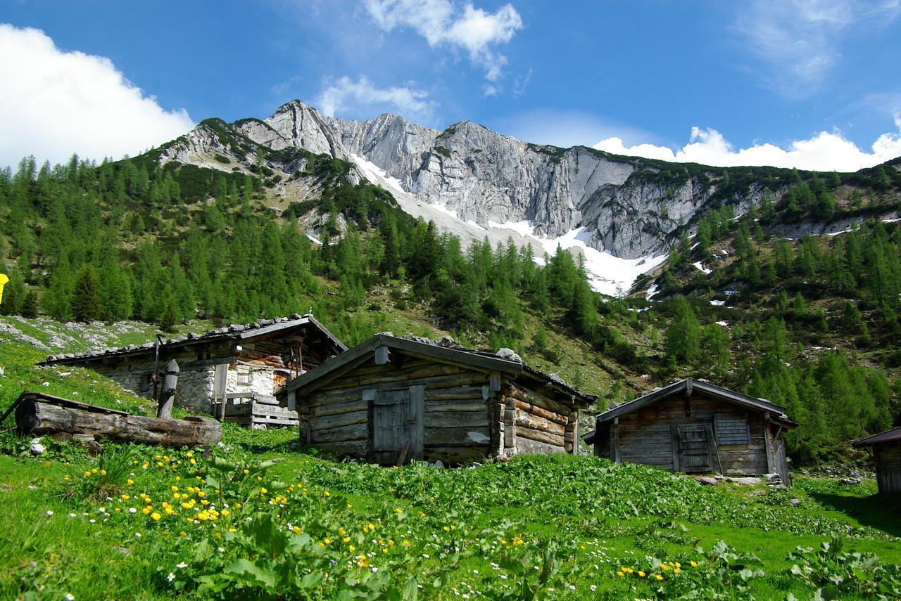 Appartement Fruehstueckspension Landhaus Karwendel Pertisau Zewnętrze zdjęcie